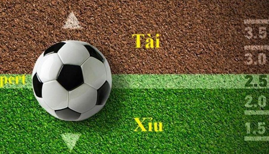 keo-tai-xiu-2-2-5-la-gi-1