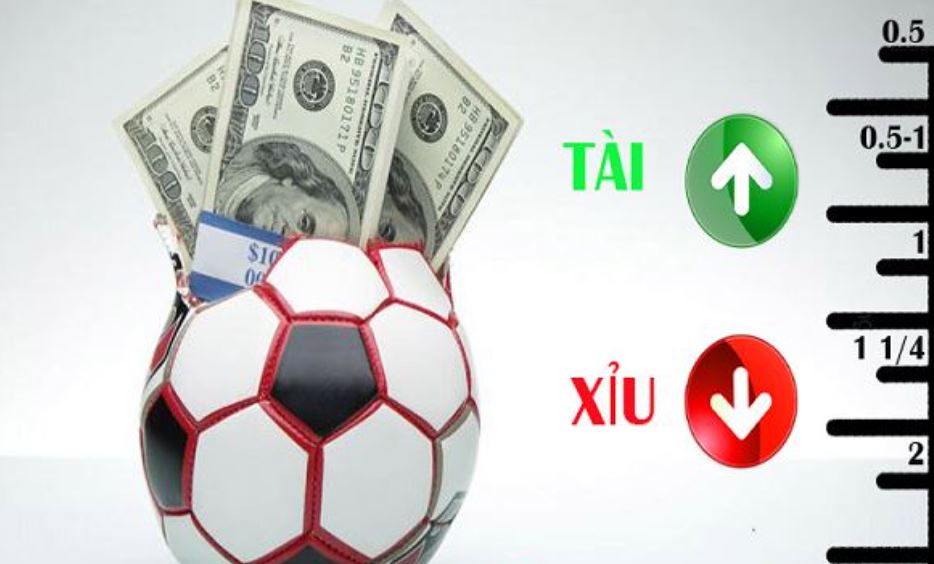 keo-tai-xiu-2-2-5-la-gi-2