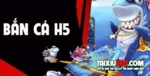 bancah5
