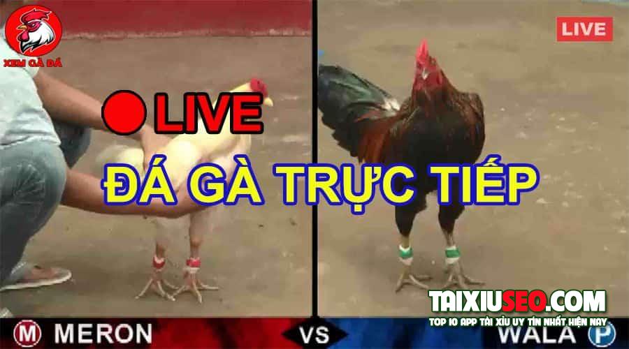 chia-se-cac-hinh-thuc-co-bac-truc-tuyen-hot-nhat-hien-nay-2506-1