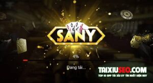sany-vin-1