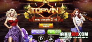 top1-vin