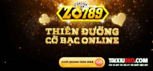 zo789-vin