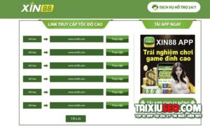 xin88