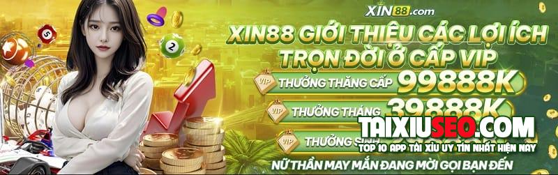 xin88-4
