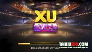 xu-vin-1