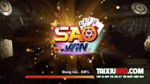 saowin12-vin