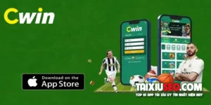 cwin2233-com